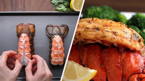 lopster tube|Juicy Lobster Recipes You Can Make At Home • Tasty Recipes.